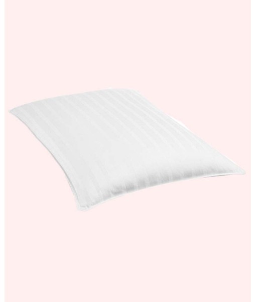 360 Down & Feather Chamber Soft Density Pillow  Standard/Queen  